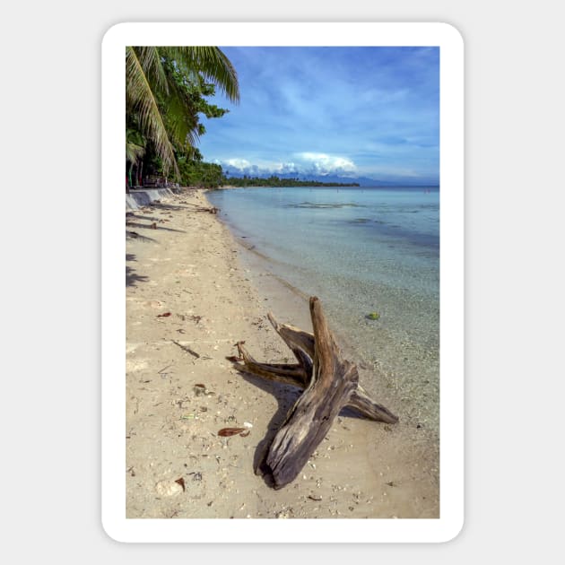 driftwood on the beach Sticker by likbatonboot